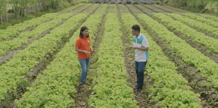 tourism development plan bohol