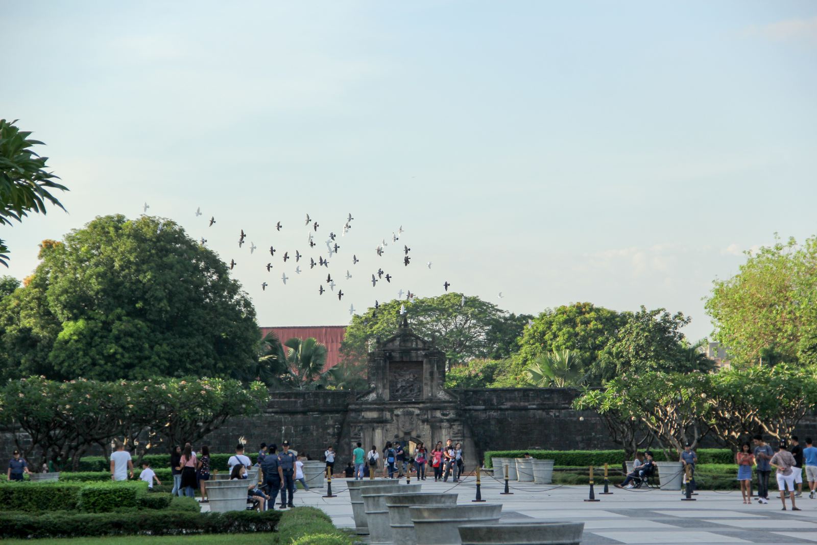 tourism master plan in bohol